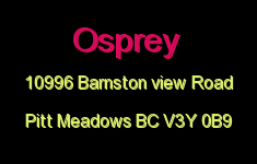 Osprey 10996 BARNSTON VIEW V3Y 0B9